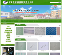 安徽太瑞聚酯網(wǎng)有限責任公司網(wǎng)站建設(shè)案例